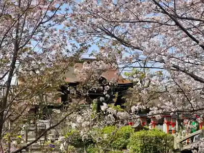 六孫王神社(京都府)