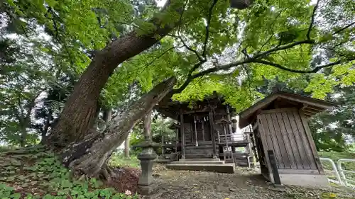 天満神社(山形県)