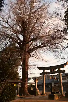 多祁御奈刀弥神社(徳島県)