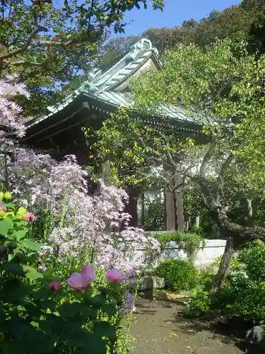 海蔵寺の庭園