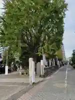 磐井神社の自然