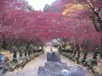 大山寺(神奈川県)
