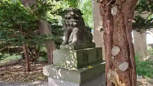 羽幌神社の狛犬