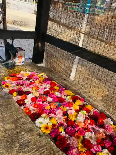 金井神社の手水舎