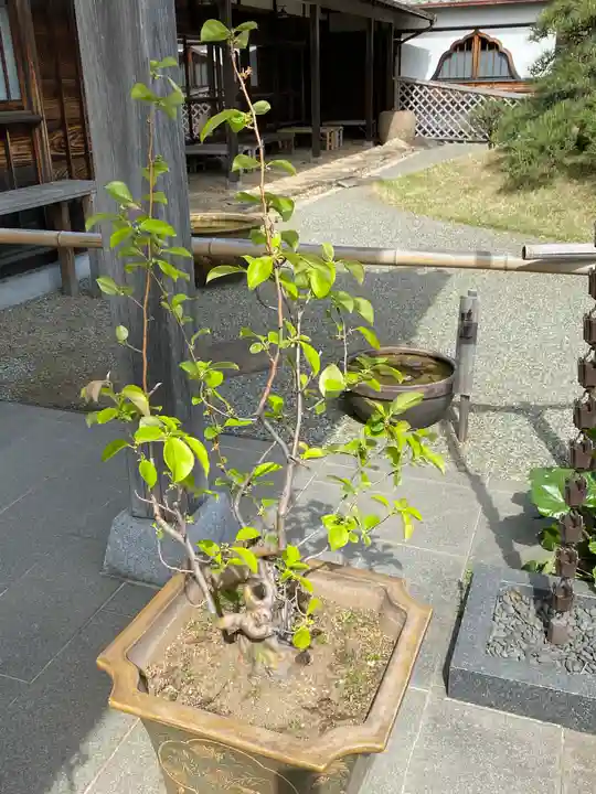 妙蓮寺(神奈川県)