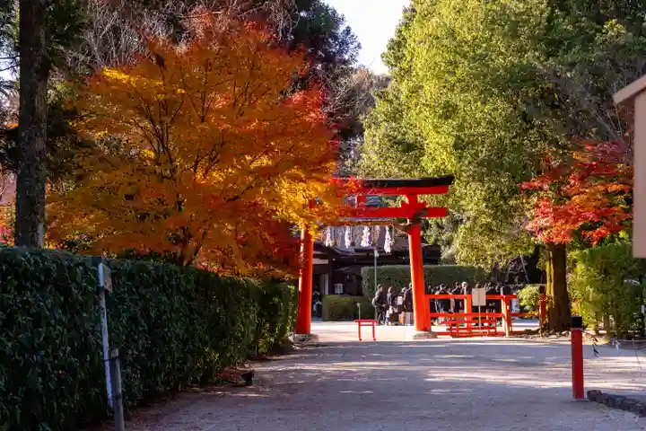 賀茂別雷神社(上賀茂神社)(京都府)