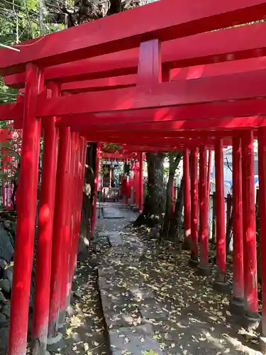 冨士浅間神社の鳥居