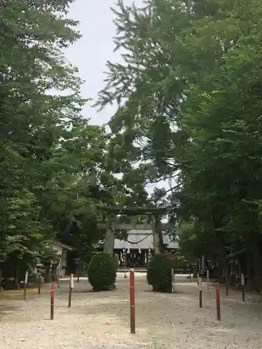 諏訪神社の鳥居