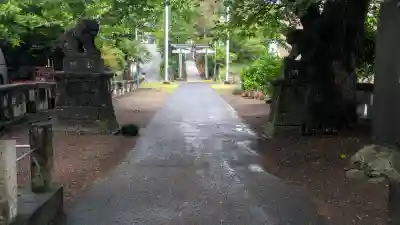 平出雷電神社(栃木県)