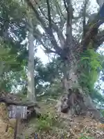 八剱神社(愛知県)