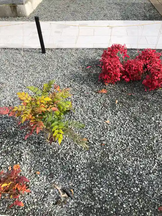 總社 和田八幡宮(福井県)