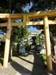 菊田神社の鳥居