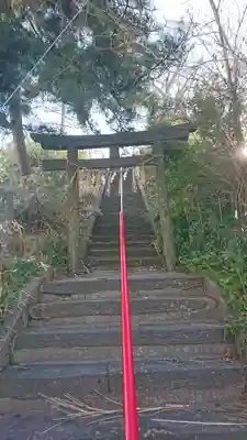 大島神社の鳥居