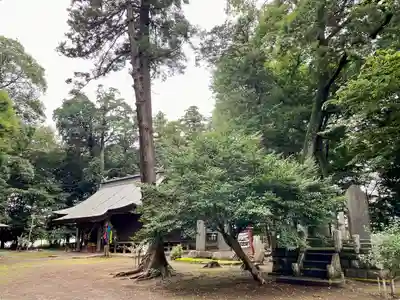 東蕗田天満社(茨城県)
