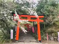 天開稲荷社の鳥居