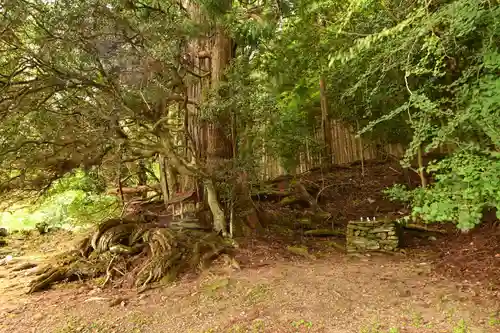 鉾神社(徳島県)