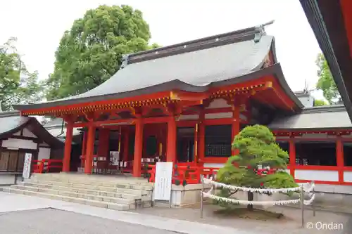 藤崎八旛宮(熊本県)