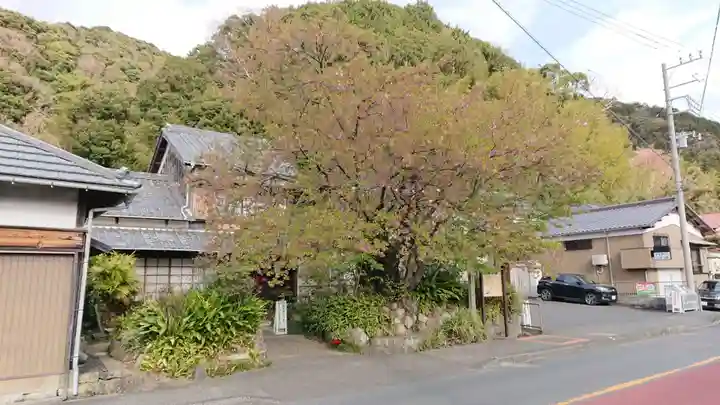 熊沢権現神社のその他建物