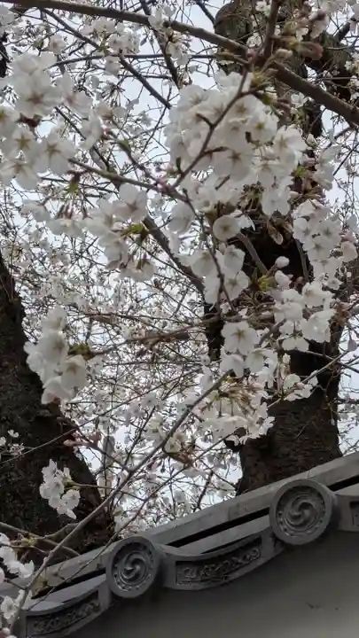 勝林寺(京都府)