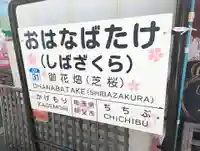 宝登山神社(埼玉県)