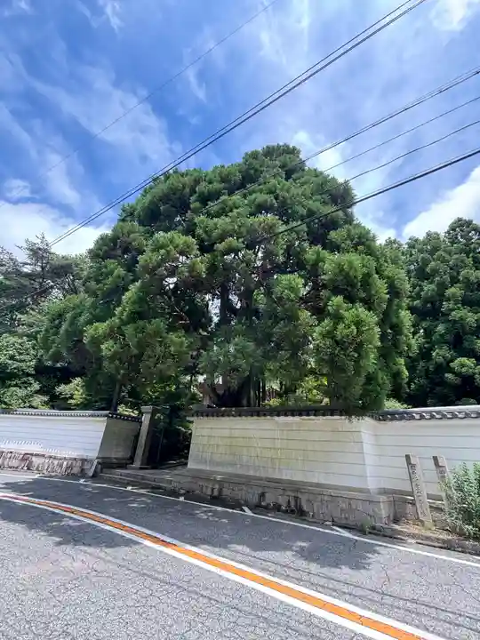 忉利天上寺のその他建物