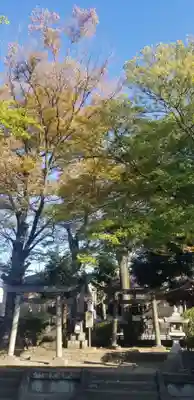稲荷神社の末社・摂社