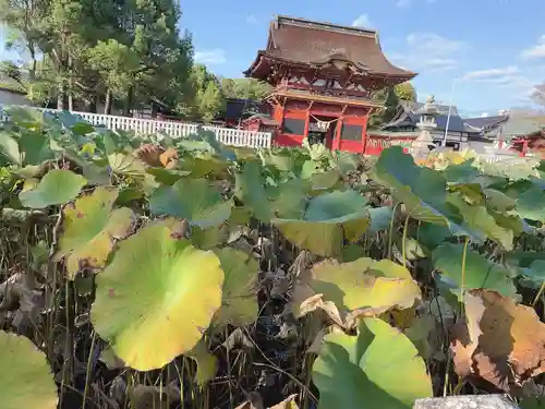 伊賀八幡宮(愛知県)