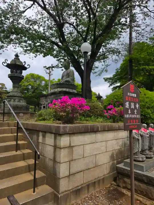 護国寺の{uncategorized: "未分類", other: "その他", undefined: "問題あり", building: "その他建物", grave: "お墓", sacred_gate: "鳥居", guardian: "狛犬", statue: "像", buddha: "仏像", history: "歴史", nature: "自然", garden: "庭園", animal: "動物", pagoda: "塔", temizu: "手水舎", mountain_gate: "山門・神門", sanctuary: "本殿・本堂", subordinate: "末社・摂社", art: "芸術", scenery: "景色", jizo: "地蔵", ema: "絵馬", goshuin: "御朱印", omikuji: "おみくじ", items: "授与品その他", amulet: "お守り", goshuincho: "御朱印帳", eats: "食事", festival: "お祭り", votive_dance: "神楽", shichigosan: "七五三参", wedding: "結婚式", experience: "体験その他", initially: "初詣", around: "周辺", anti_infection: "感染症対策"}