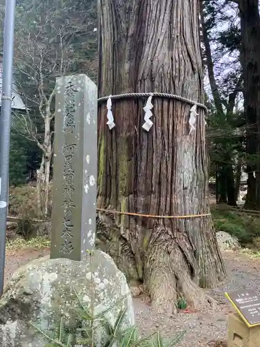 河口浅間神社(山梨県)