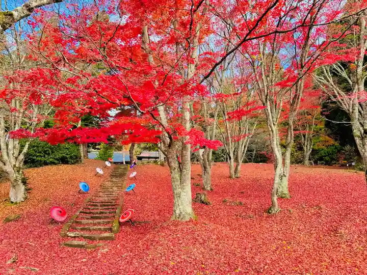 土津神社|こどもと出世の神さま(福島県)