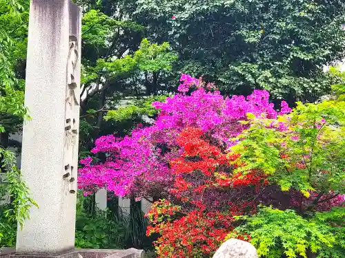 乃木神社(東京都)