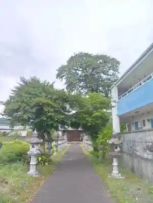 北野神社の{uncategorized: "未分類", other: "その他", undefined: "問題あり", building: "その他建物", grave: "お墓", sacred_gate: "鳥居", guardian: "狛犬", statue: "像", buddha: "仏像", history: "歴史", nature: "自然", garden: "庭園", animal: "動物", pagoda: "塔", temizu: "手水舎", mountain_gate: "山門・神門", sanctuary: "本殿・本堂", subordinate: "末社・摂社", art: "芸術", scenery: "景色", jizo: "地蔵", ema: "絵馬", goshuin: "御朱印", omikuji: "おみくじ", items: "授与品その他", amulet: "お守り", goshuincho: "御朱印帳", eats: "食事", festival: "お祭り", votive_dance: "神楽", shichigosan: "七五三参", wedding: "結婚式", experience: "体験その他", initially: "初詣", around: "周辺", anti_infection: "感染症対策"}