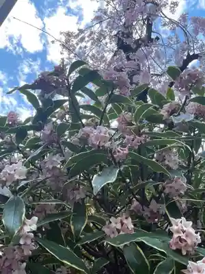 日蓮宗瑞光山久遠寺(愛知県)
