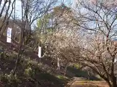 壽命院 永徳寺(栃木県)