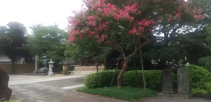 寳幢院のその他建物