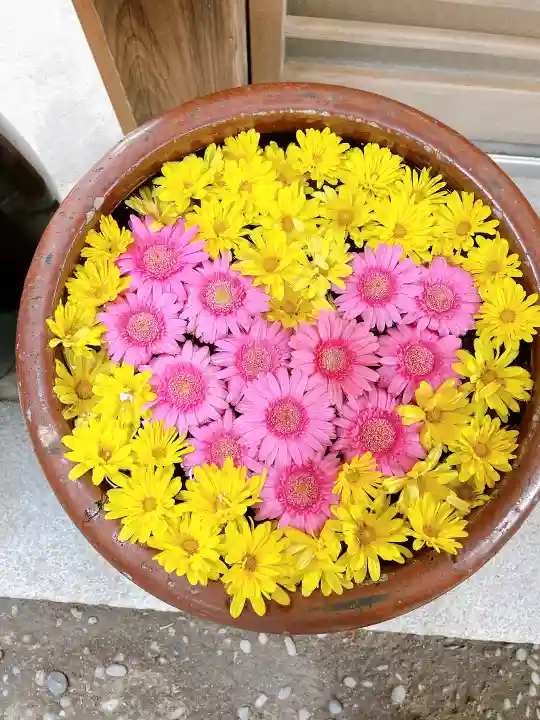 菅生神社の手水舎