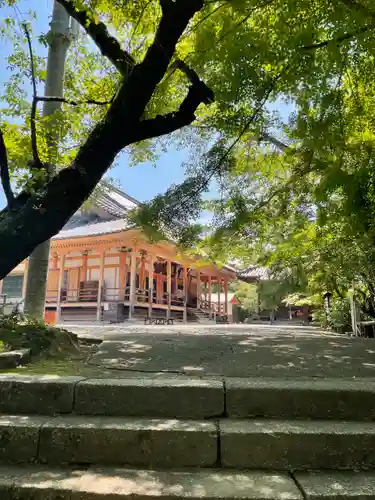 松尾寺の本殿