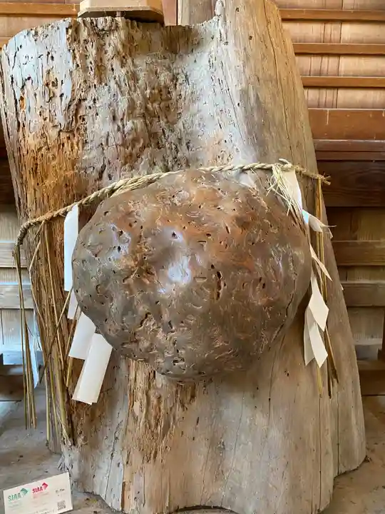 許波多神社(五ケ庄鎮座)(京都府)