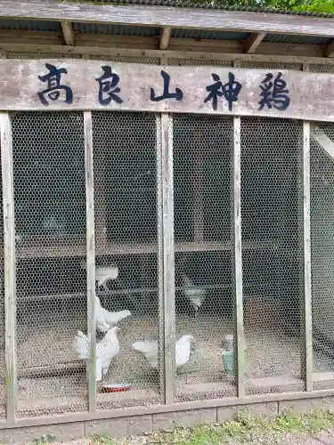 高良大社(福岡県)