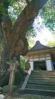 生王部神社の本殿・本堂