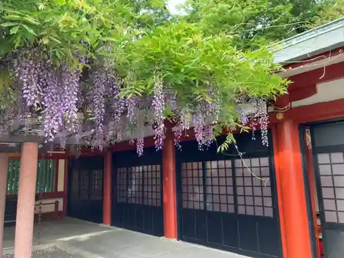 日枝神社の庭園