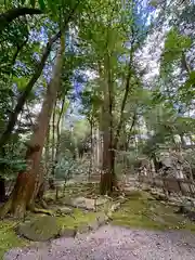 椿大神社(三重県)