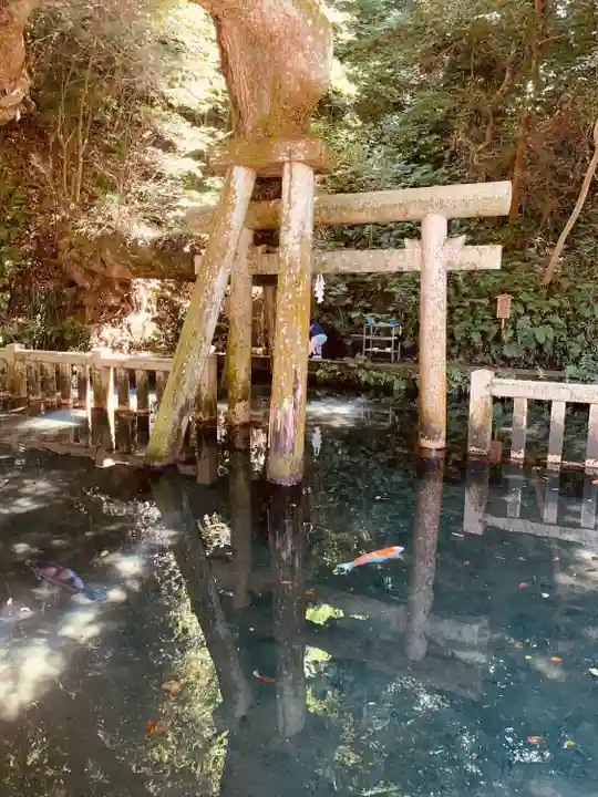 鹿島神宮(茨城県)