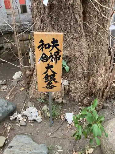 笠䅣稲荷神社の自然