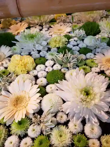 高円寺氷川神社の手水舎