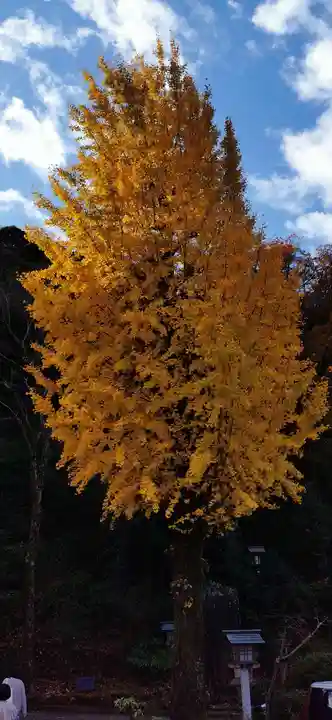 黒龍社(伊奈波神社境内社)(岐阜県)