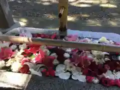 札幌伏見稲荷神社の手水