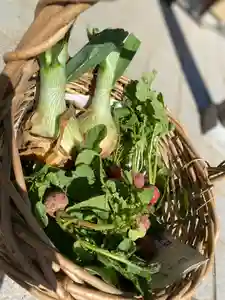 本照寺の自然(2020年05月17日(日) 15時56分10秒投稿)