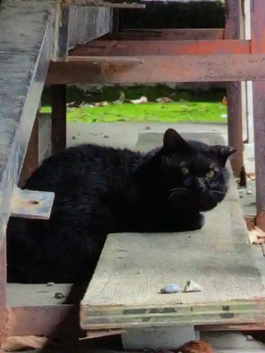 本郷氷川神社(東京都)