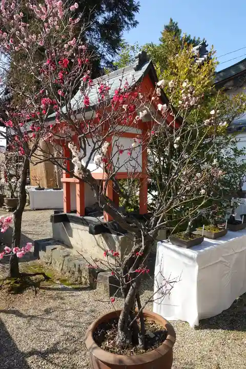 菅原天満宮(菅原神社)(奈良県)
